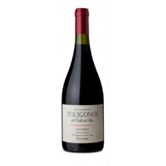 Vino Zuccardi Poligonos San Pablo Cabernet Franc 2022