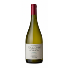 Vino Zuccardi Poligonos San Pablo Verdejo 2022