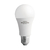 Lâmpada LED Blumenau Bulbo A60 E27 15W 6.500K - 03152126