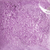violeta | glitter biodegradável - comprar online