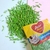 Grana Verde Claro x 50 gr. - DECORMAGIC