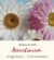 Flores Comestibles Acroclinium - 5 gr - GRISELDA DE PEDRO - comprar online