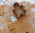 Premezcla Cookies de Jengibre x 500gr - BAIRES JAR - comprar online
