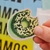 Sticker Dona Pistacho Fondo Tornasol - LA BOTICA