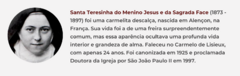 Banner da categoria Santa Teresinha do Menino Jesus