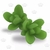 Molde de Silicone Mini Suculenta Jade Ib-264 - comprar online