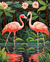 Flamingos no Lago - comprar online