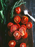 Tomates Temperados - comprar online