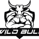 Logo de wildbull.com.ar