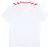 Camisa Dinamarca II 24/25 Torcedor Masculina - Branco - comprar online