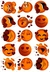 EMOTICONES AMOR - 750 C-08