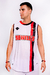 CAMISETA OFICIAL BASKET ALTERNATIVA - 2024 - NEWELL'S OLD BOYS - AIFIT - comprar online