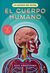 EL CUERPO HUMANO