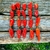 20 Frutos Bhut Jolokia selecionados 6 a 8 cm in natura 3ª mais forte do mundo
