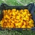 Bhut Jolokia Yellow Amarela Cítrica Frutos In Natura 1 kilo - comprar online