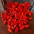 Bhut Jolokia Red Frutos In Natura 1 kilo