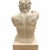 Escultura de Resina Boxer Branca e Dourado - comprar online