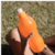 Botellita hidratacion con pico Push Pull 500 ml Plastica colores Cód.27087 - comprar online