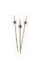 Palito de Bambu para Petisco - Bolinha Prata - 20 unidades
