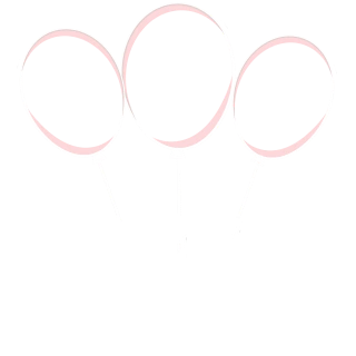 Casulo Festas