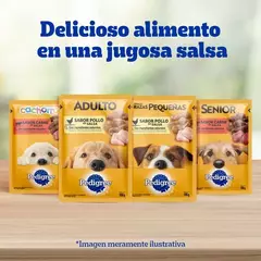 Pedigree Pouc Adulto Carne En Salsa X 100 Grs - tienda online