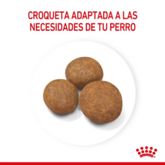 Royal Canin Perro Maxi Puppy X 15 Kg - Pipa Store