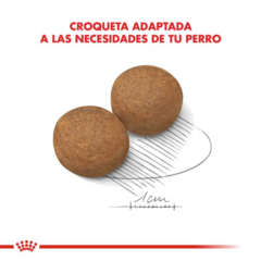 Royal Canin Perro Adulto Maxi X 15 Kg - Pipa Store