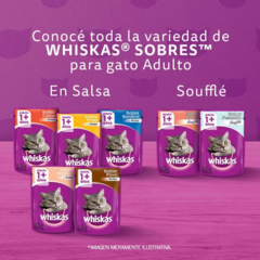 Whiskas Gato Adulto Pollo X 10 Kg - comprar online