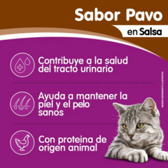 Whiskas Pouch Pavo En Salsa X 85 Grs Adulto - tienda online