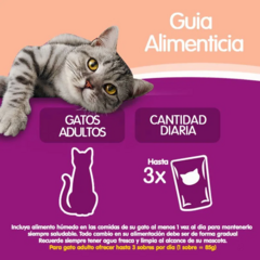 Whiskas Pouch Salmon En Salsa X 85 Grs Adulto - tienda online