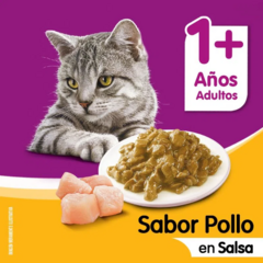 Whiskas Pouch Pollo En Salsa X 85 Grs Adulto en internet