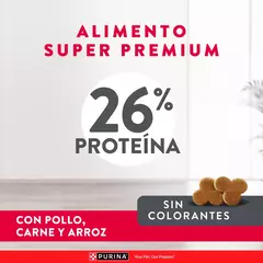 Excellent perro senior x 3 Kg - Pipa Store