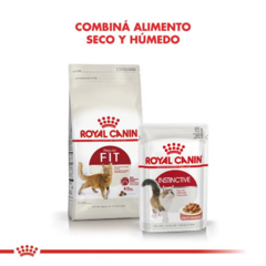 Royal Canin Gato Fit 32 X 7.5 Kg - tienda online