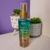 BODY SPLASH FACE BEAUTIFUL - loja online