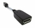 Adaptador HP Mini DisplayPort Para DisplayPort 703216-001 - comprar online