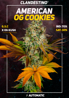 Imagen de big cookies x10 + 2 DE REGALO!