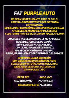 FAT PURPLE AUTO x5 + 1 DE REGALO - comprar online