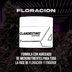 KIT FERTILIZANTES 50GR - tienda online