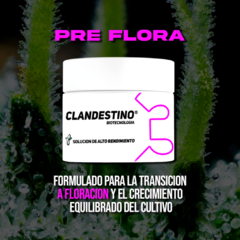 KIT FERTILIZANTES 100GR - clandestino