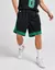 Short NBA Boston Celtics Dry Fit Masculino - loja online
