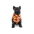 Bandana Harry Potter - Grifinória para Cães e Gatos na internet