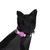 Coleira Lilac para Gatos - comprar online