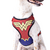 Peitoral Air Mulher Maravilha para Cães - comprar online