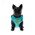 Peitoral Air Scooby-Doo SD para Cães - comprar online