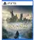 Hogwarts Legacy Deluxe Edition PlayStation 5