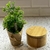 Porta Algodones de bamboo circular con tapa - comprar online