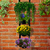 Jardim Vertical Floreira Para 4 Vasos - comprar online
