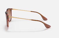 ERIKA CLASSIC - Transparente Marron/Marron degrade - GAFAS IMPORTADOS