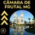 Apostila CÂMARA DE FRUTAL MG 2025 - OFICIAL TÉCNICO LEGISLATIVO - comprar online