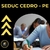 Apostila SEDUC CEDRO PE 2024 - PEDREIRO